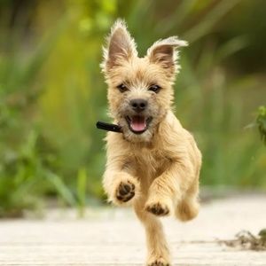 Meet your Posher, Kendallk10!